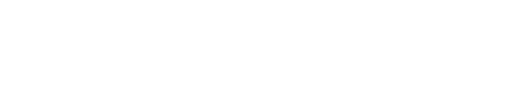 white-ip tax Logo Weiß